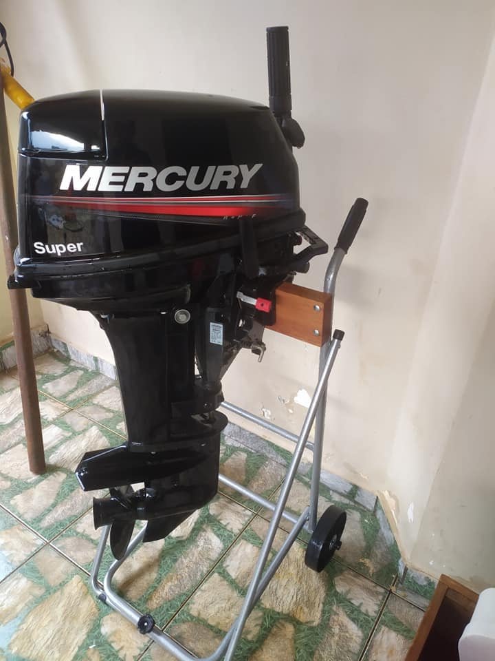 2019 Mercury 15 HP 2 Cylinder EFI 4 Stroke 20″ (L) Tiller Outboard ...